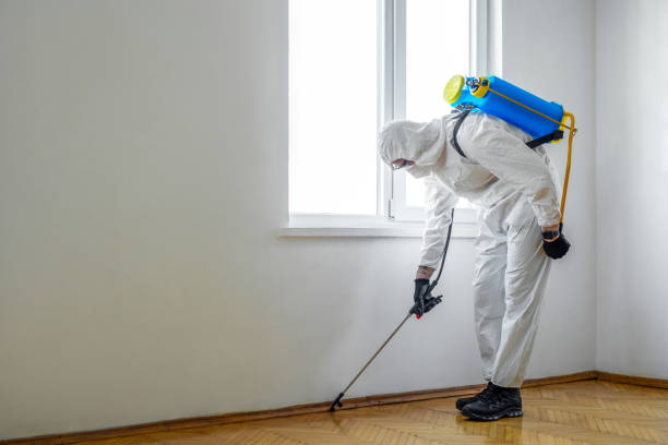 Pest Control for Hotels in Upper Grand Lagoon, FL